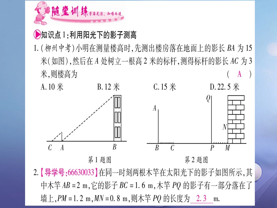 九级数学上册 4.6 利用相似三角形测高习题课件 （新版）北师大版_第2页