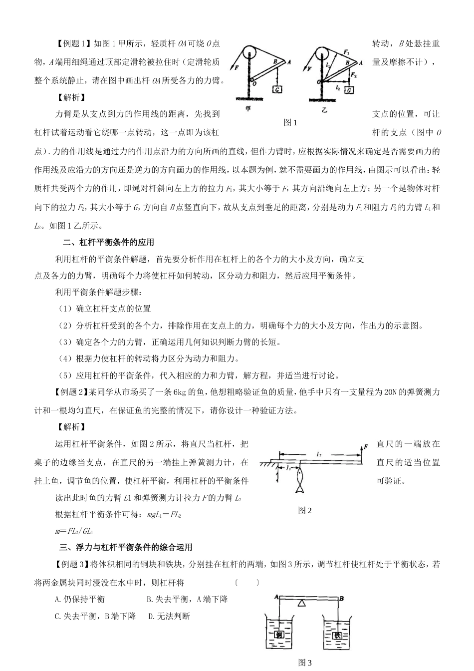 中考物理考点聚焦复习 8_第2页