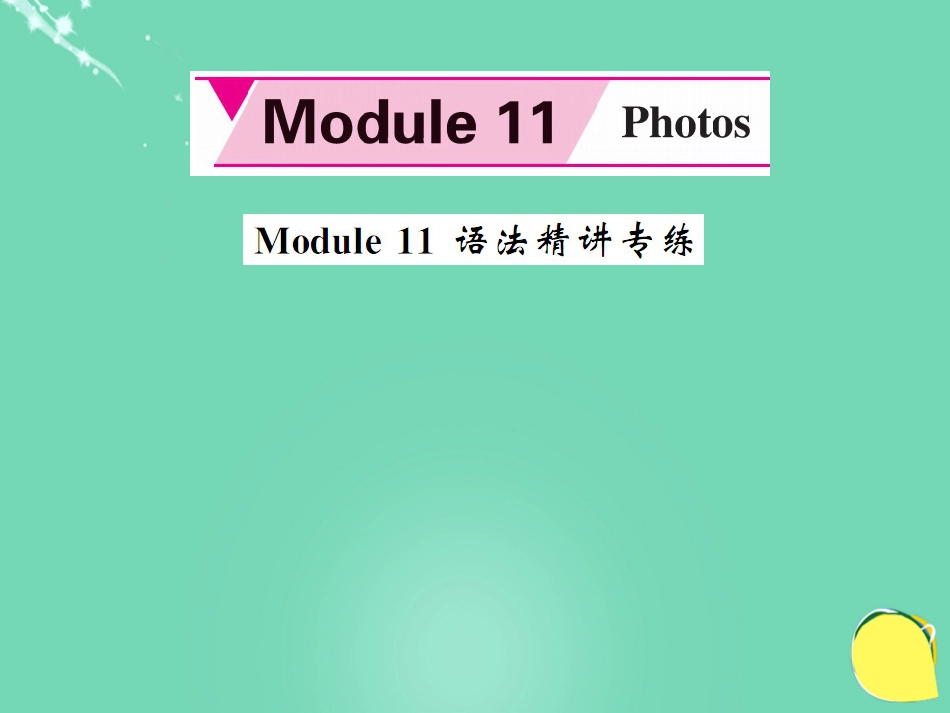 九年级英语上册 Module 11 Photos语法精讲专练课件 （新版）外研版_第1页