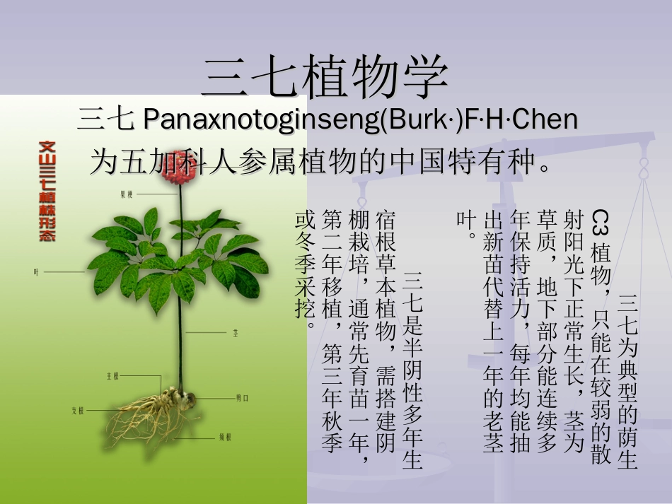 三七课件2009122[共37页]_第3页