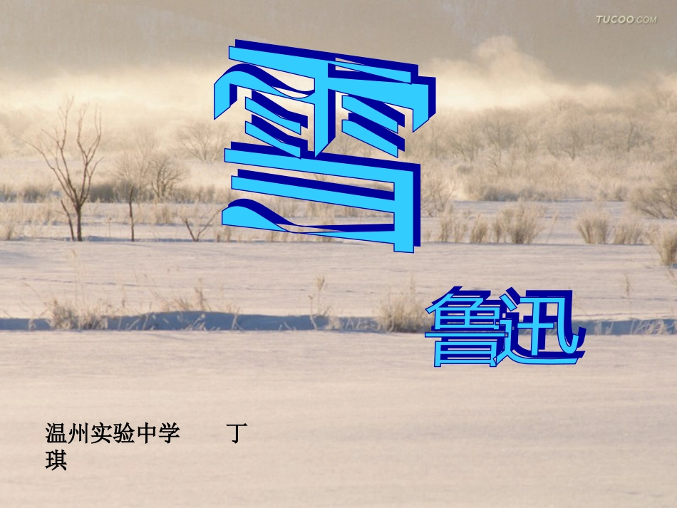 【人教课标版】八年级下册雪8_第2页