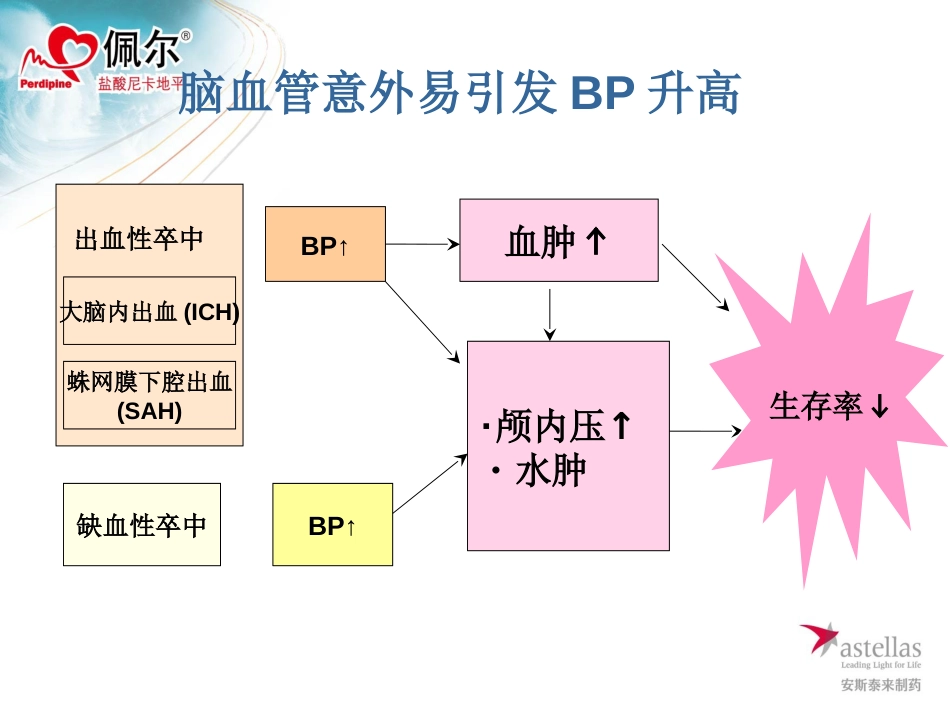 佩尔武汉N外会议[共40页]_第3页