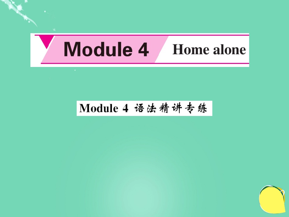 九年级英语上册 Module 4 Home alone语法精讲专练课件 （新版）外研版_第1页