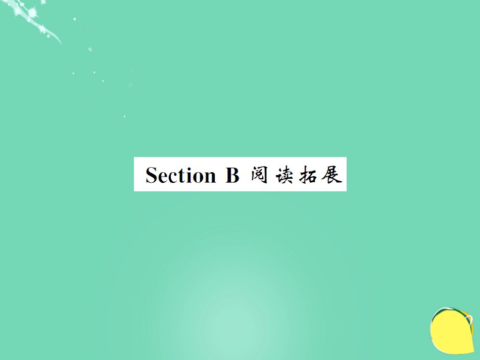 九年级英语全册 Unit 5 What are the shirts made of Section B阅读拓展课件 （新版）人教新目标版_第1页