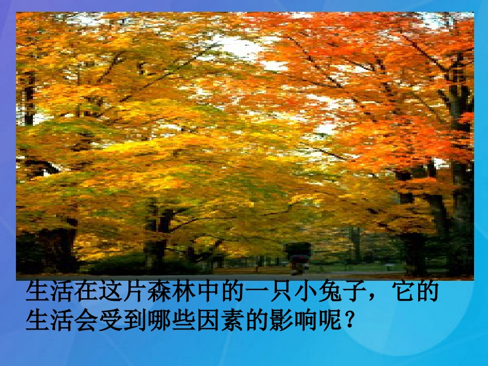 七年级科学下册 5.2《生态系统》课件1 （新版）华东师大版_第3页