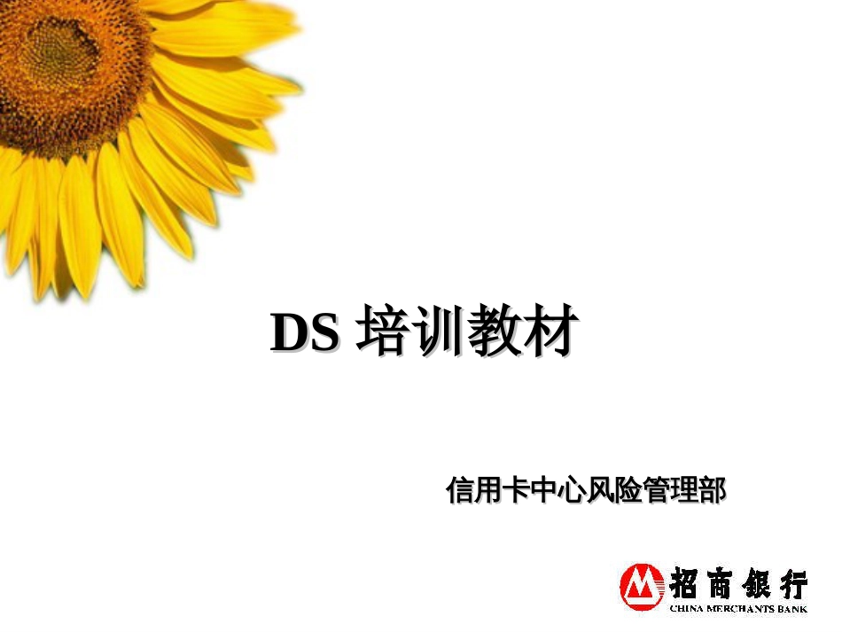 DS征信培训教材修正版[共28页]_第1页