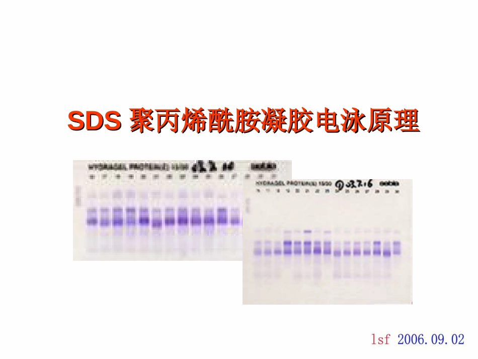 SDSPAGE原理上[共6页]_第1页