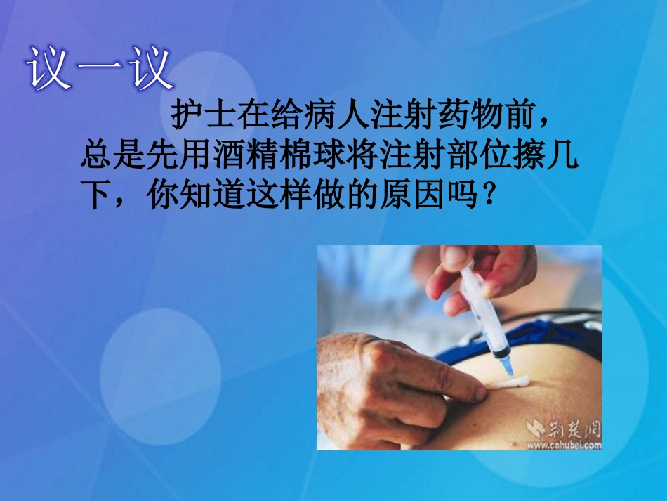 七年级科学下册 7.4《细菌和真菌的繁殖》课件 （新版）华东师大版_第2页