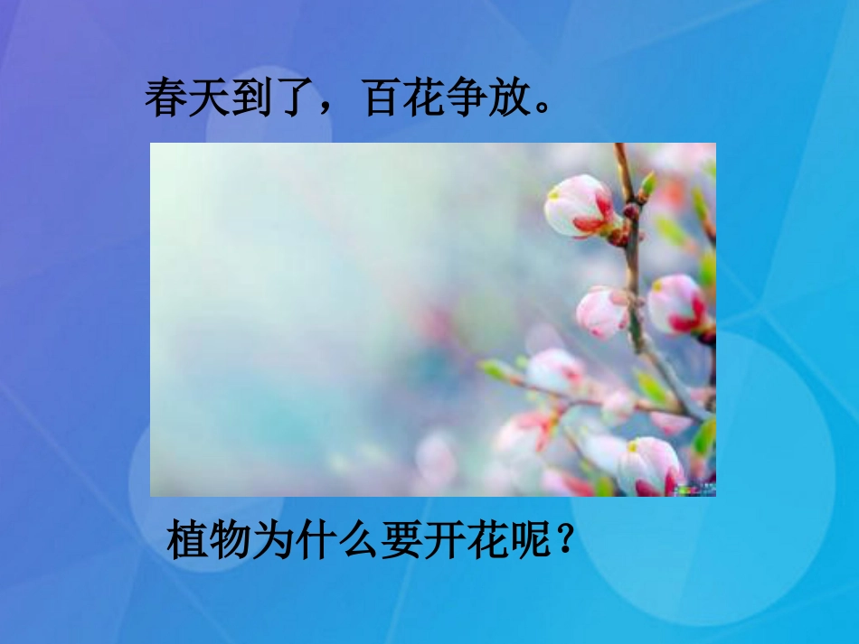 七年级科学下册 7.1《绿色开花植物的有性生殖与发育》课件 （新版）华东师大版_第3页