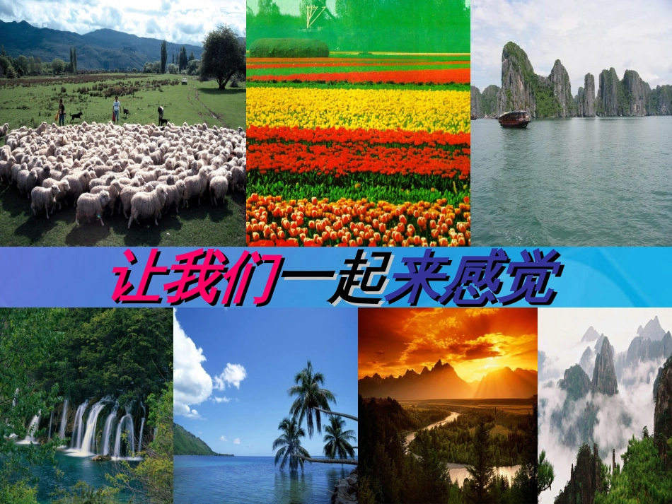 七年级科学下册 2.1《感觉世界》课件6 浙教版_第2页