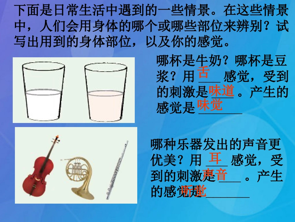 七年级科学下册 2.1《感觉世界》课件6 浙教版_第3页