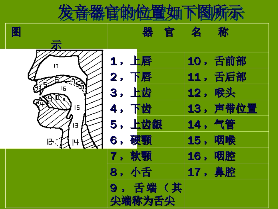 图解英语音标口型发音要领巨划算[共74页]_第2页