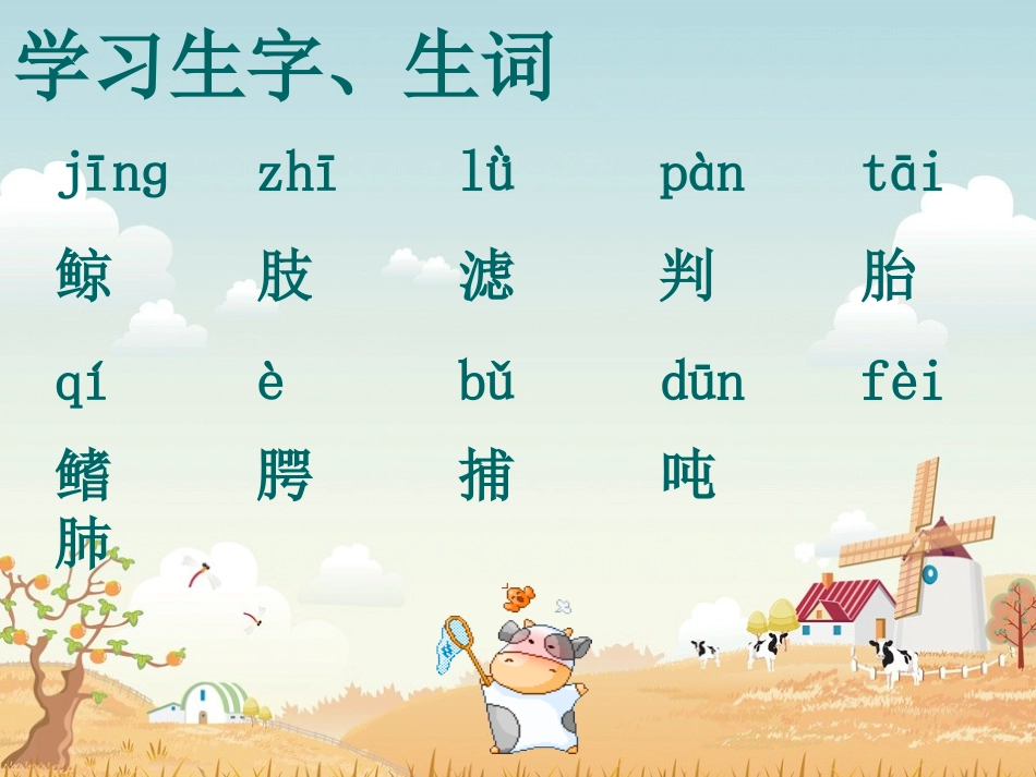 人教课标版五年级鲸课件[共8页]_第3页