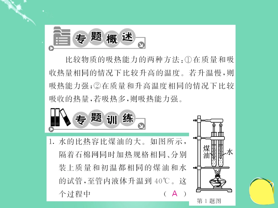 九年级物理全册 第13章 内能 专题二 探究物质的吸热能力课件 （新版）新人教版_第2页