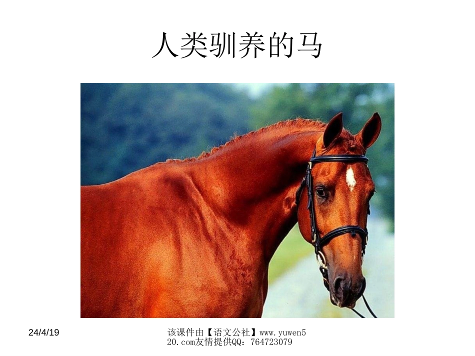 【人教新课标】七年级下册《马》ppt教学课件0_第3页