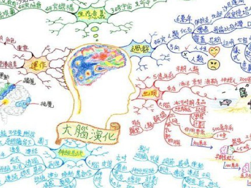 思维导图ppt课件[共58页]_第3页