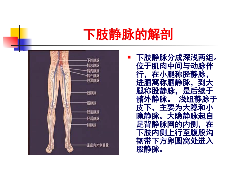 下肢深静脉血栓的诊断与治疗进展[共52页]_第2页