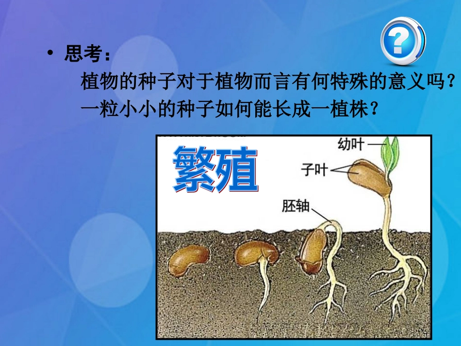 七年级科学下册 7.2《种子的结构》课件3 （新版）华东师大版_第3页