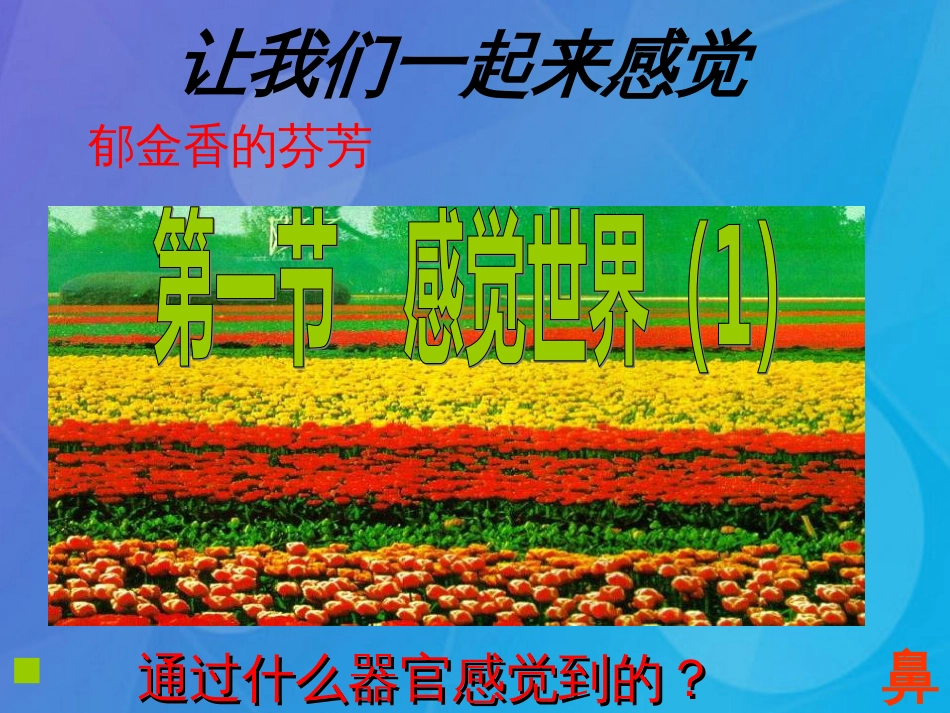 七年级科学下册 2.1《感觉世界》课件4 浙教版_第1页