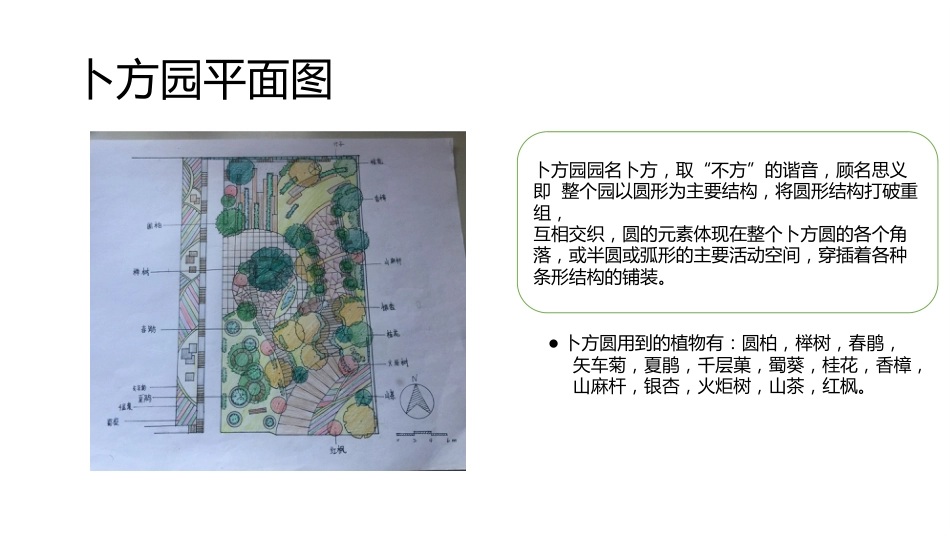 广场设计方案[共10页]_第2页