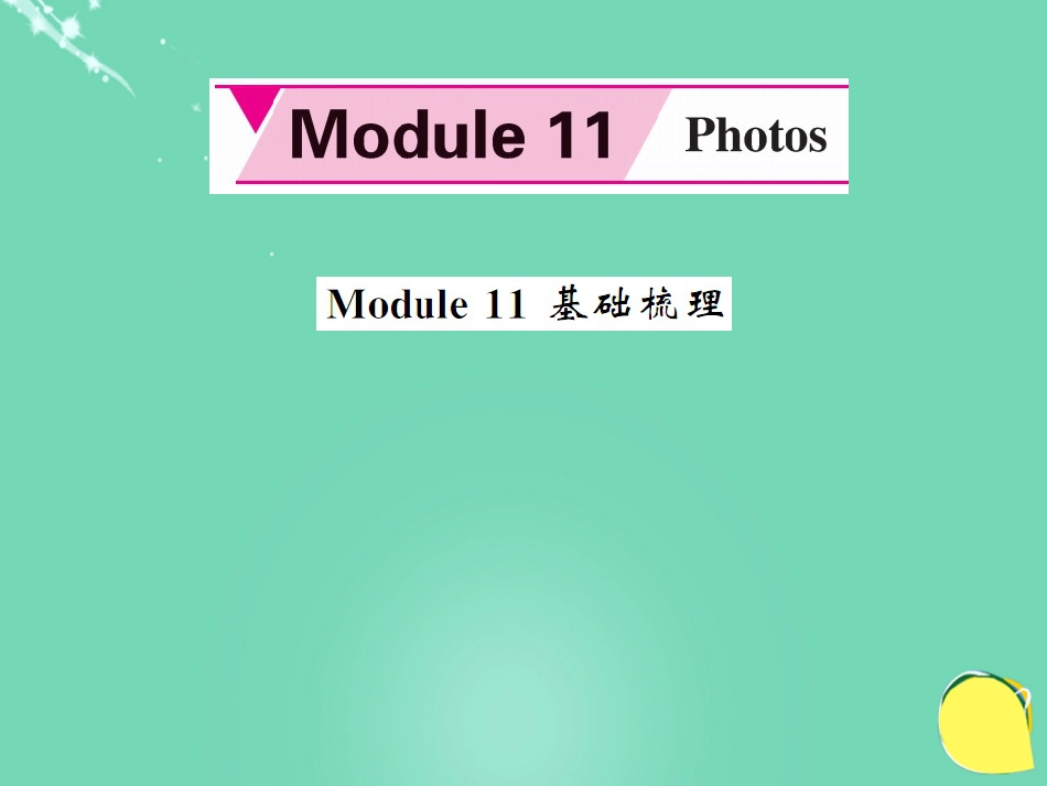 九年级英语上册 Module 11 Photos基础梳理课件 （新版）外研版_第1页