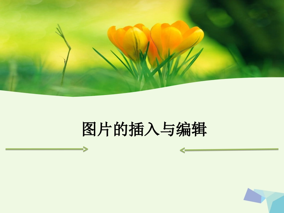 四年级信息技术上册 第12课 图片的浏览和编辑课件1 冀教版[共49页]_第1页