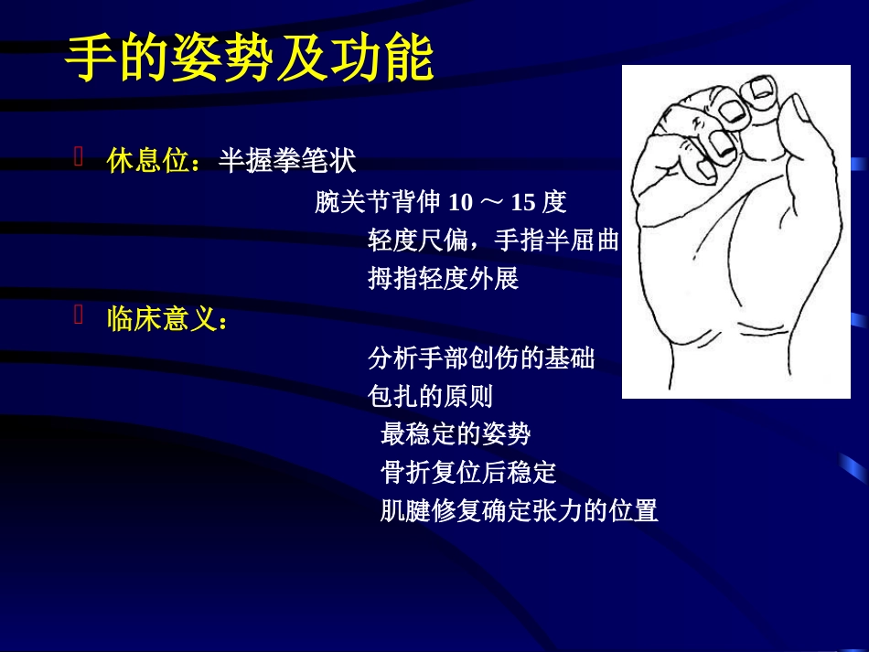 手外伤教学幻灯[共37页]_第3页