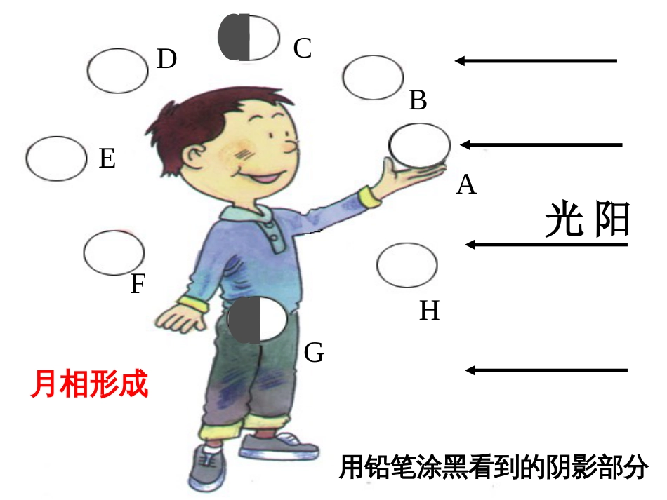 七年级科学下册 4.4《月相》课件1 浙教版_第2页