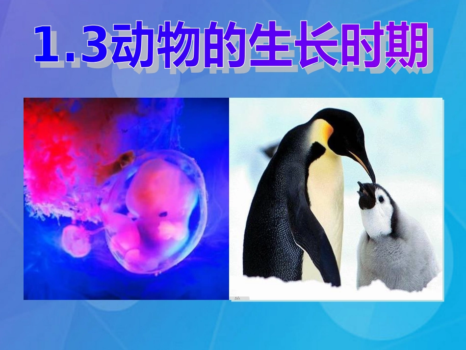 七年级科学下册 1.3《动物的生长时期》课件1 浙教版_第1页