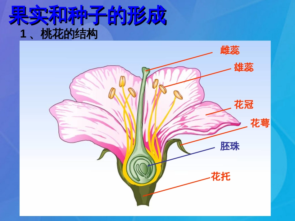 七年级科学下册 1.5《植物生殖方式的多样性》课件2 浙教版_第3页