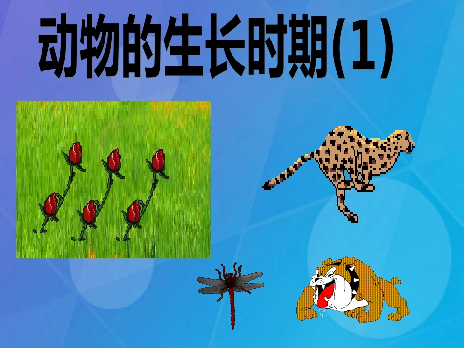 七年级科学下册 1.3《动物的生长时期》课件3 浙教版_第2页
