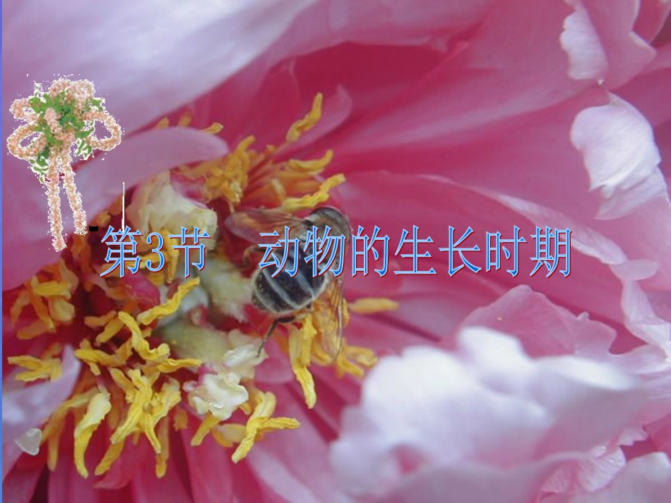 七年级科学下册 1.3《动物的生长时期》课件2 浙教版_第1页