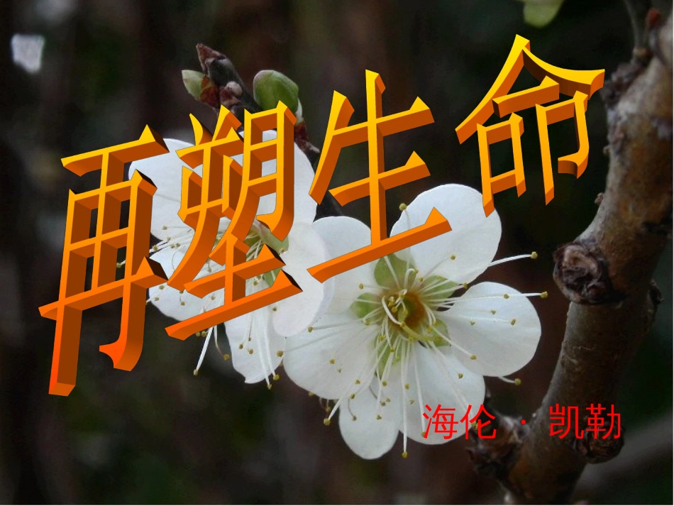 【人教课标版】八年级下册再塑生命8_第2页