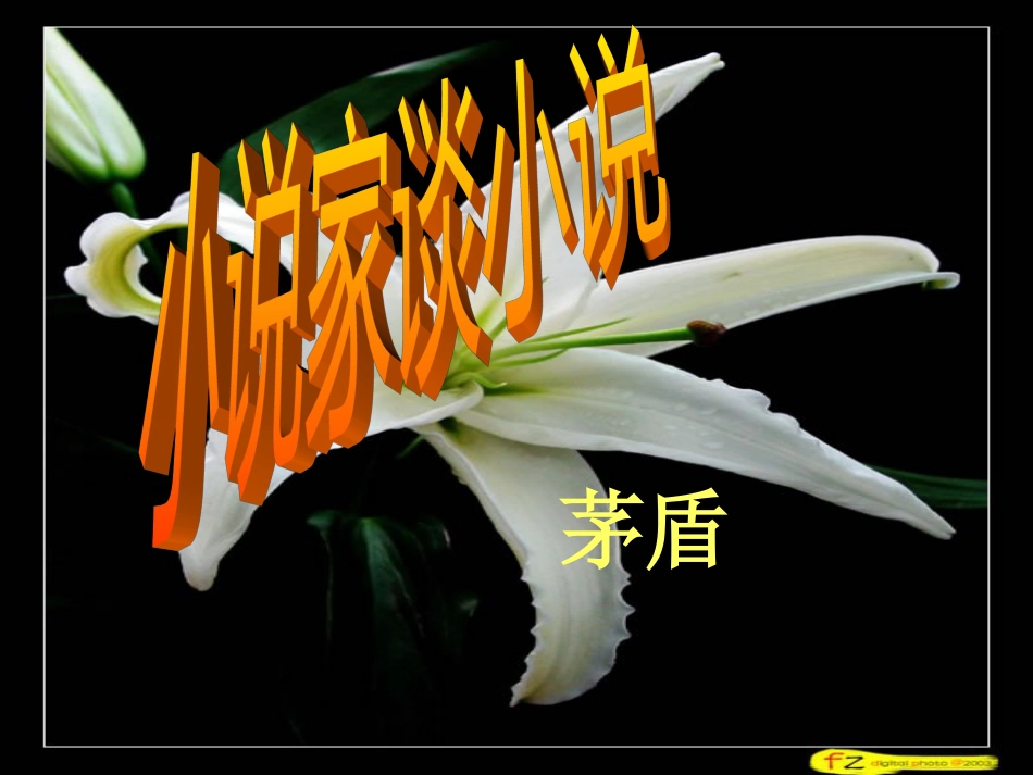 【苏教版】九年级上册《小说家谈小说》课件_第1页