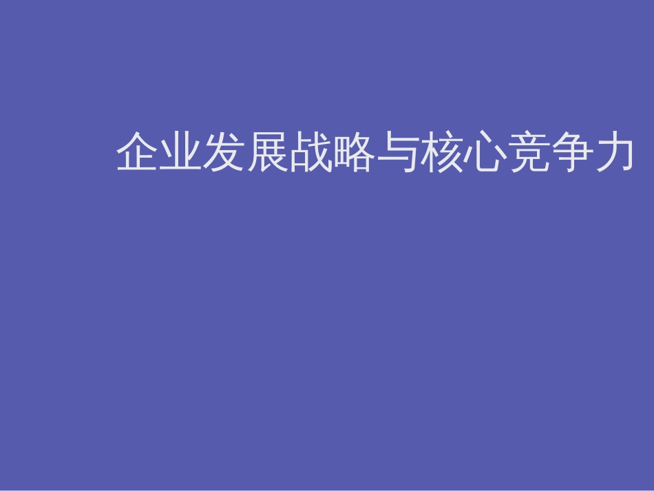 企业发展战略与核心竞争力[共195页]_第1页