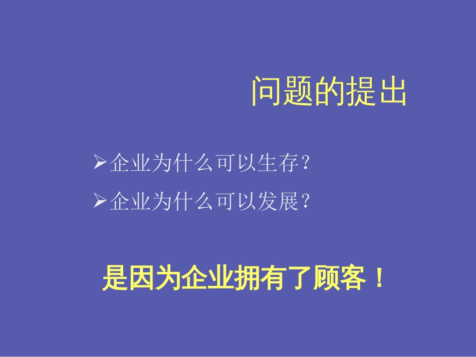 企业发展战略与核心竞争力[共195页]_第3页