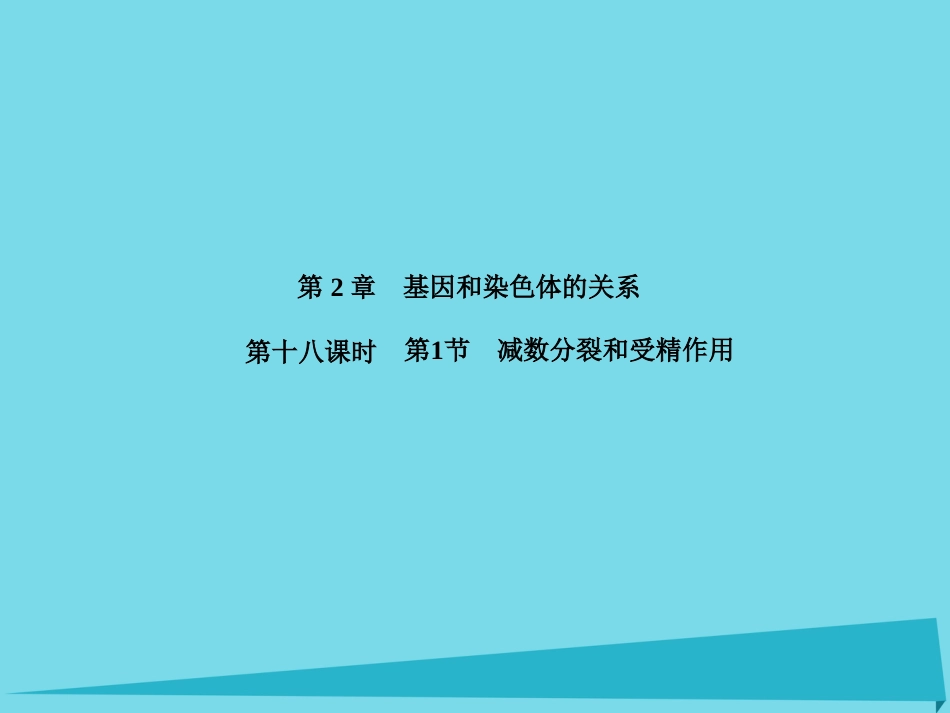 届高考高考生物一轮复习 第二章 基因和染色体的关系（第十八课时）第1节 减数分裂和受精作用课件 新人教版必修_第1页