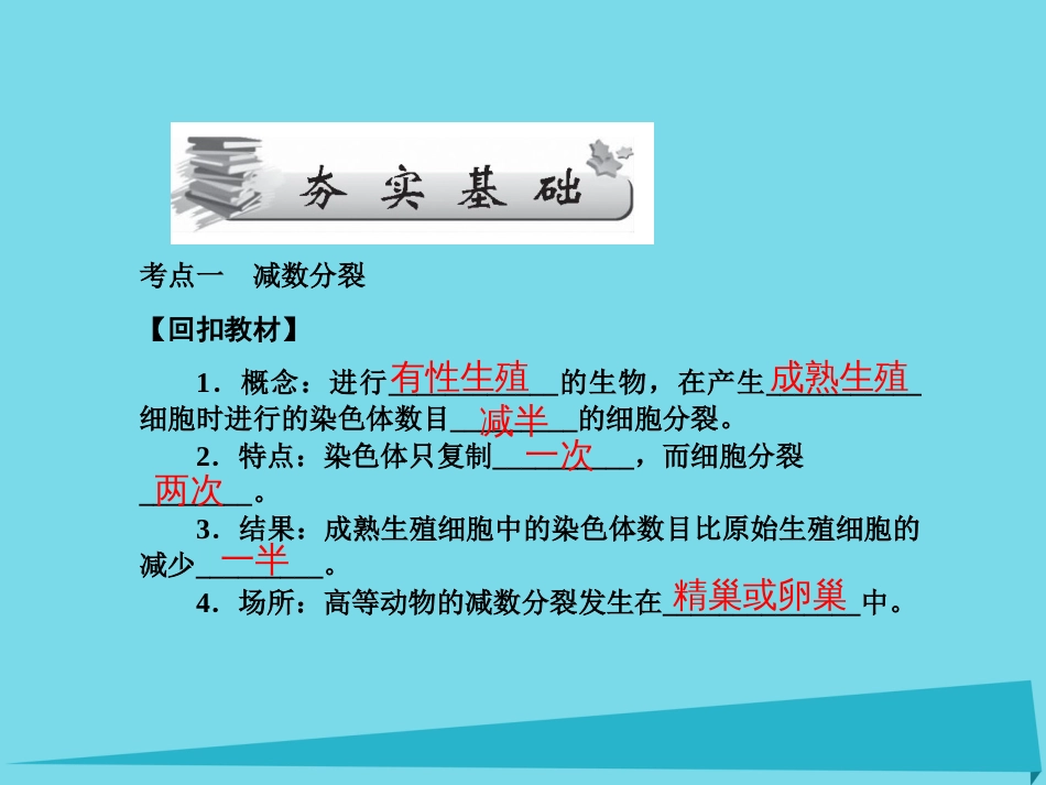 届高考高考生物一轮复习 第二章 基因和染色体的关系（第十八课时）第1节 减数分裂和受精作用课件 新人教版必修_第3页