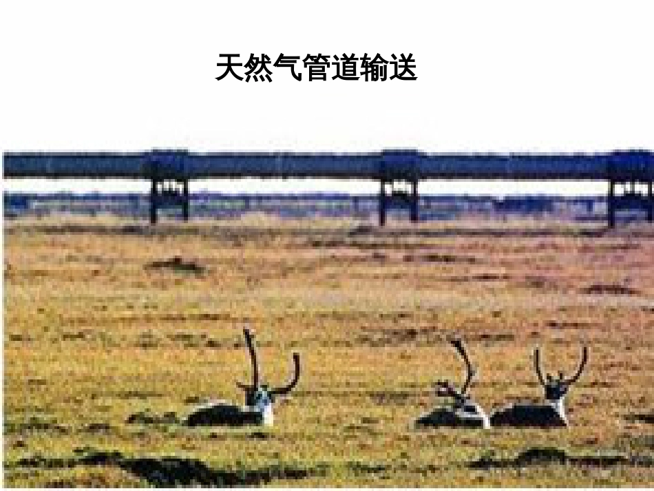 《传递过程导论》2009.[共135页]_第3页