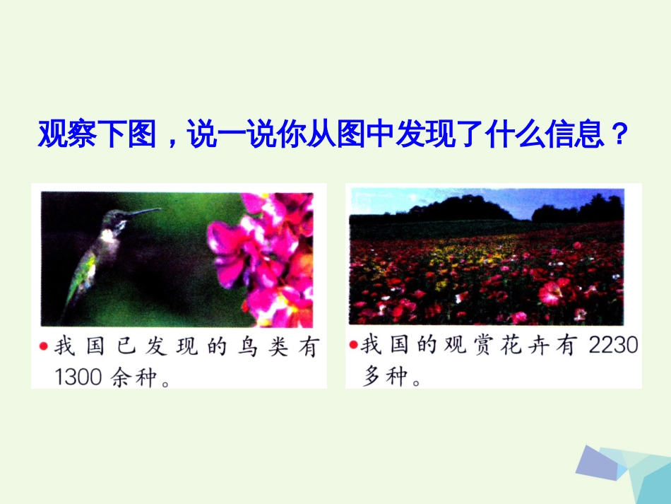 三年级数学上册 第1单元 生活中的大数（近似数）教学课件 冀教版_第3页