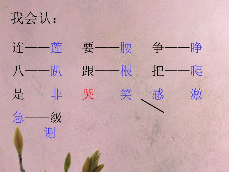 人教新课标一年级《夏夜多美》课件[共9页]_第3页