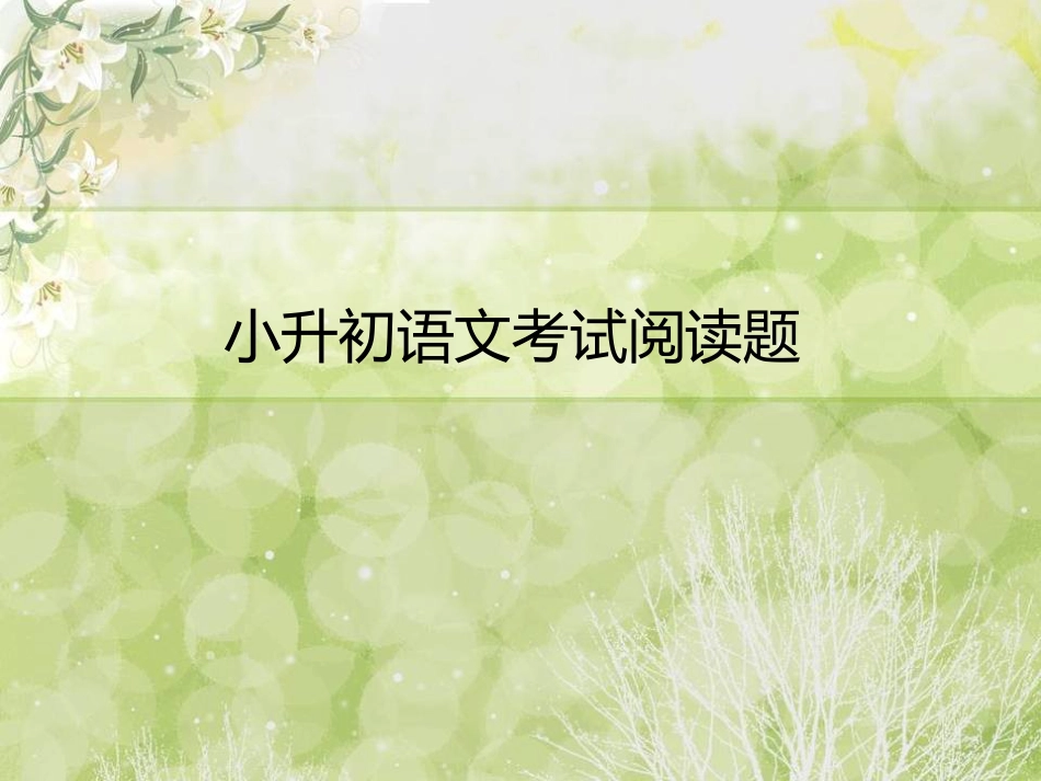 小升初语文考试阅读辅导优秀课件[共47页]_第1页