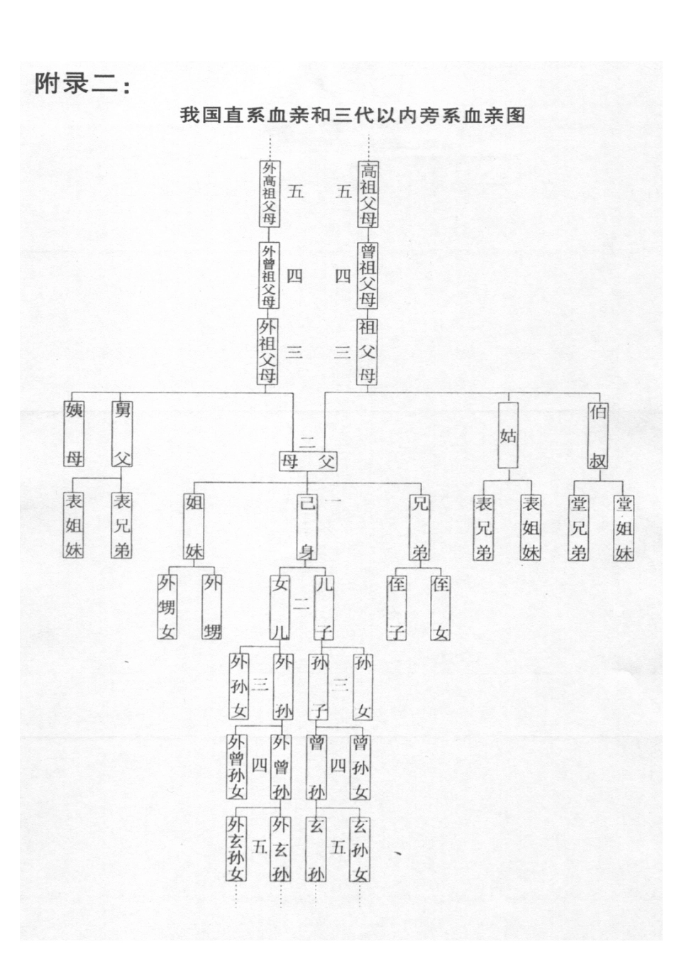我国直系血亲和三代以内旁系血亲图_第1页