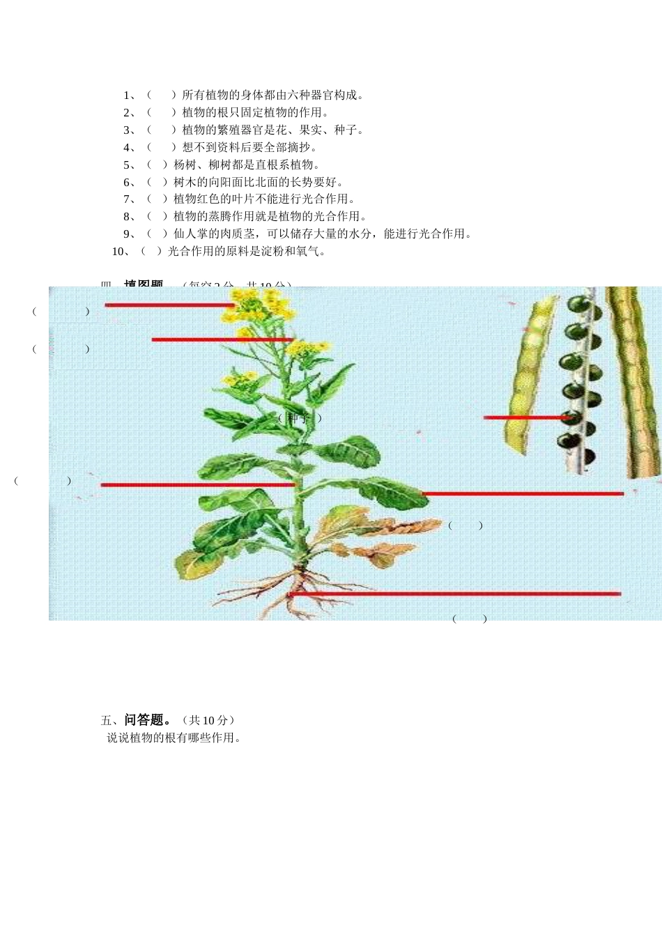 四年级科学上第一单元测试试卷——植物的身体_第2页