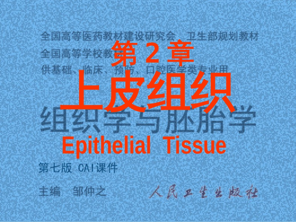 02上皮组织[共71页]_第1页