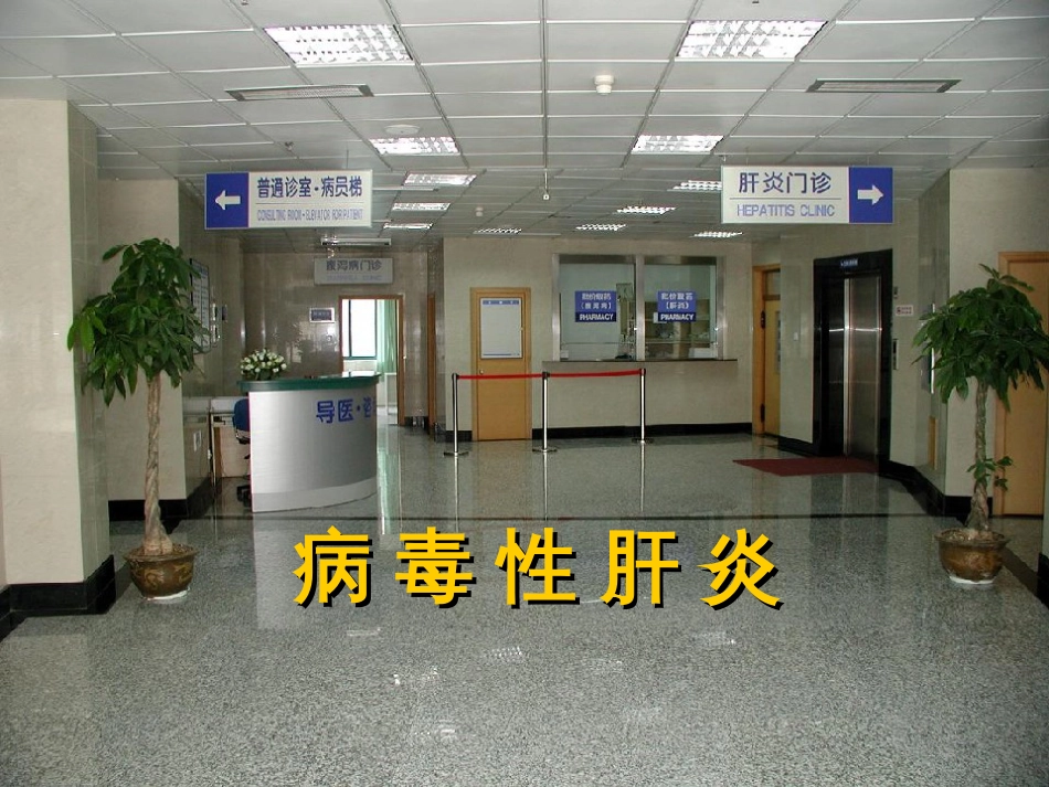 2病毒型肝炎新_第1页