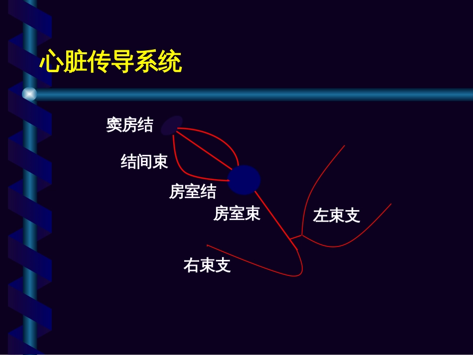 室早及室速的体表心电图定位[共60页]_第3页