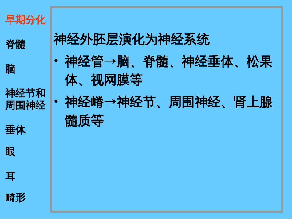 26神经系统和眼耳的发生[共52页]_第2页