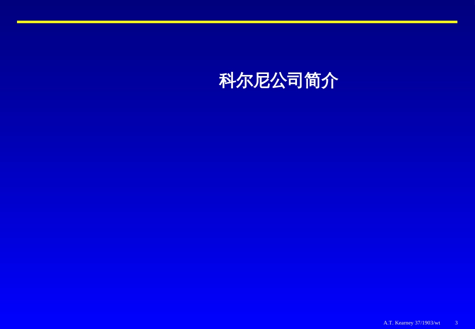 实现企业增长的业务组合战略[共64页]_第3页