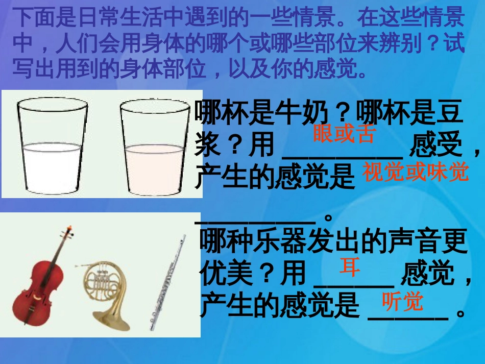 七年级科学下册 2.1《感觉世界》课件3 浙教版_第2页